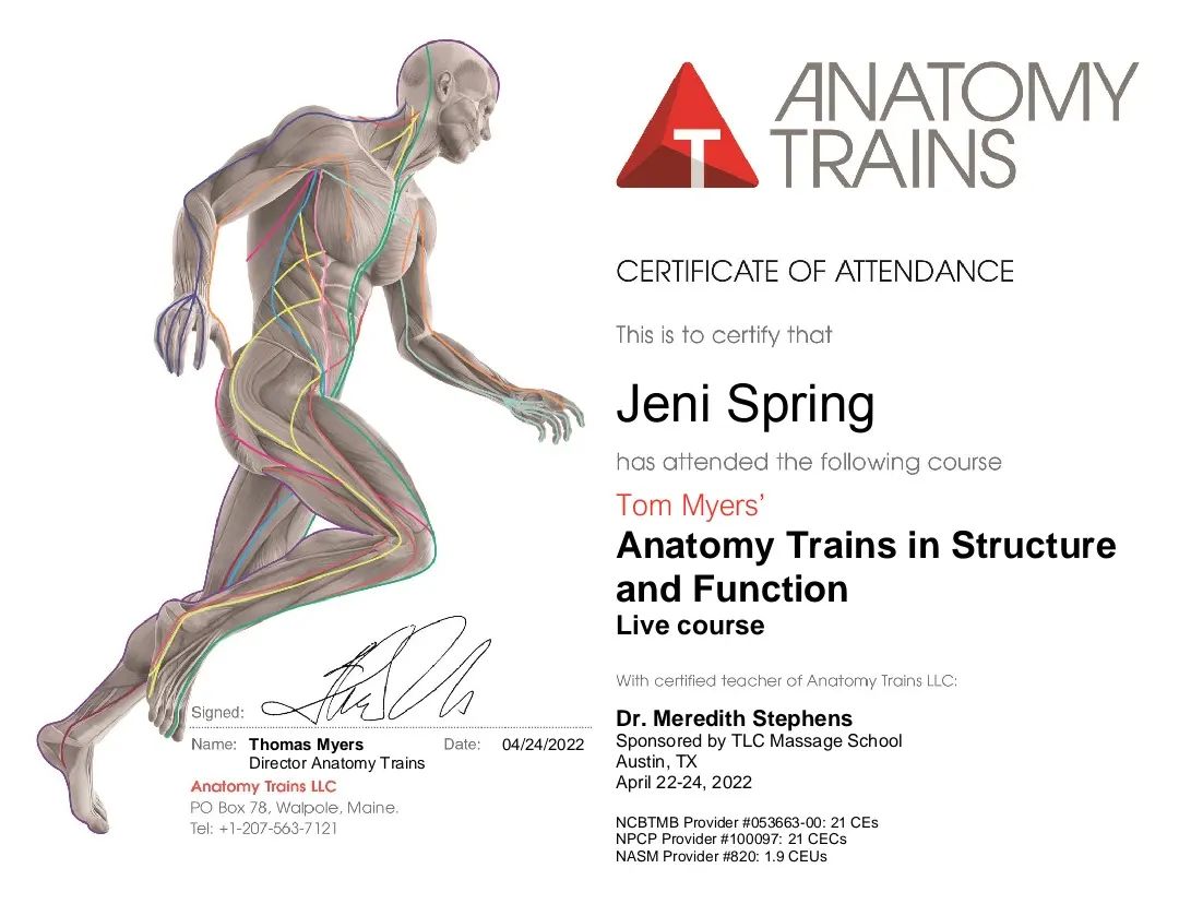 anatomy-trains-structural-integration-structure-function-jeni-spring
